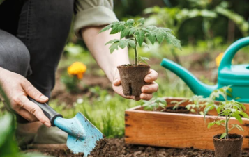 Garden Development Service