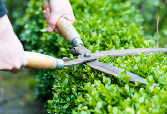 Garden Maintenance Service